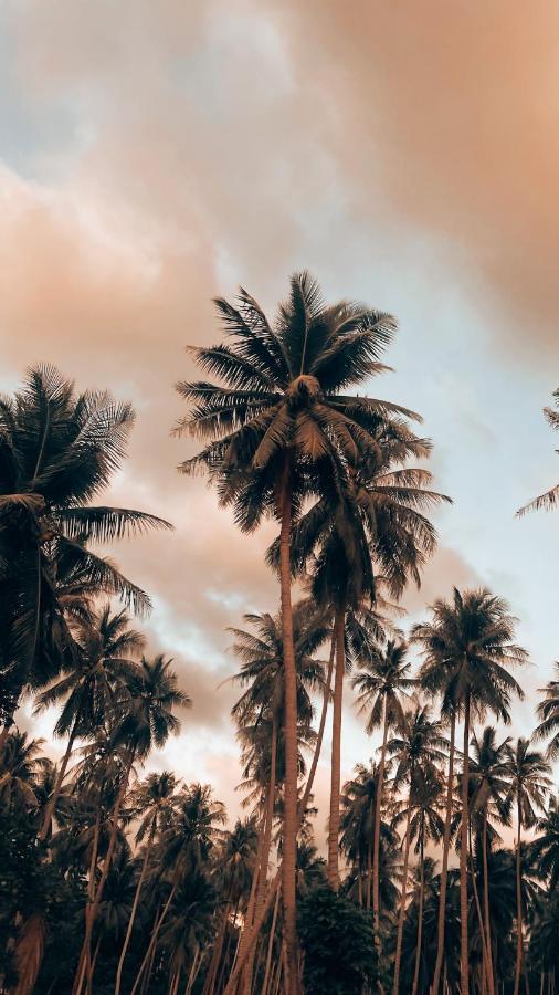 Ocean Vibes 호텔 통살라 외부 사진